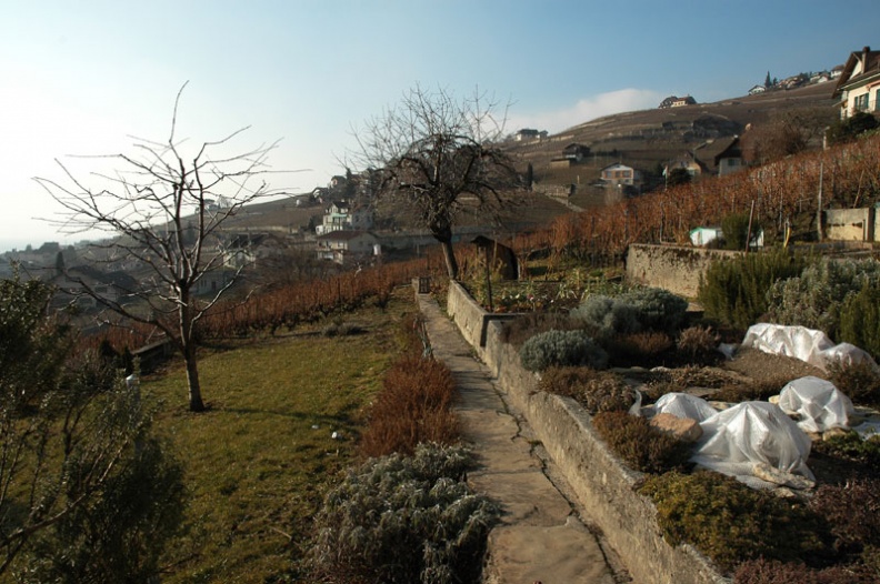 DSC_1527.jpg