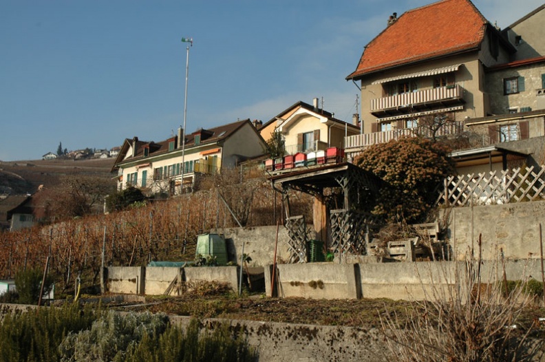 DSC_1526.jpg