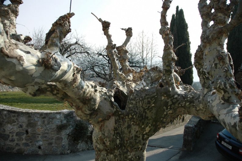 DSC_1534.jpg