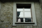 DSC 1585