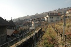 DSC 1594