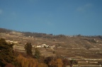 DSC 1484